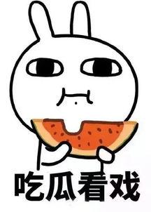 刘二豆娱乐吃瓜君,揭秘娱乐圈幕后故事